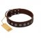 "Starry-Eyed" Best Quality FDT Artisan Brown Designer Leather Bulldog Collar with Small Plates