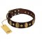 "Retro Pusle" FDT Artisan Brown Leather Bulldog Collar with Old Bronze-like Studs and Oval Brooches