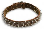 Leather Brown collar 25'' for Bulldog /25 inch dog collar - S44