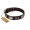 "Satin Beauts" FDT Artisan Brown Leather Bulldog Collar with Stars and Plates