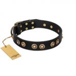 "Golden Artifact" FDT Artisan Black Leather Bulldog Collar with Old-bronze Covered Medallions