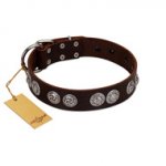 "High and Mighty" FDT Artisan Classy Brown Leather Bulldog Collar with Embellished Brooches