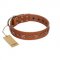 "Star Shine" Exclusive FDT Artisan Tan Leather Bulldog Collar with Silver-Like Adornments
