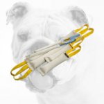 Fire Hose Bulldog Bite Tugs for Effective Training