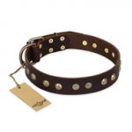 "Bronze Sheen" FDT Artisan Leather Bulldog Collar with Brass-Plated Studs