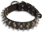 Bulldog Spike&Stud Black dog collar 20 inch/20'' collar - S55