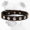Fantastic Durable Leather Bulldog Collar with Nickel Studs