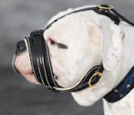Anti-Barking Nappa Padded Leather Bulldog Muzzle