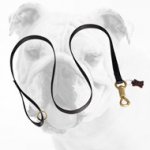 Best Quality Police Nylon Bulldog Leash