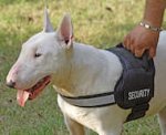 Security Bull dog harness for tracking, patrol work