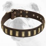 Super Fashionable Leather Bulldog Collar with Unique Brass Plates