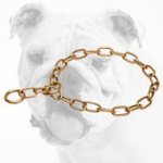 Durable Curogan Bulldog Choke Collar for Training