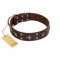 "Stars in Sands" Modern FDT Artisan Brown Leather Bulldog Collar with Studs and Stars