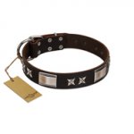 "Satin Beauts" FDT Artisan Brown Leather Bulldog Collar with Stars and Plates