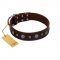 "Pure Sensation" Exclusive FDT Artisan Brown Leather Bulldog Collar with Fancy Brooches and Studs