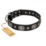"Black Tie" FDT Artisan Leather Bulldog Collar with Old Silver-like Decorations