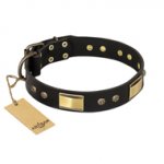 "Black Sun" FDT Artisan Leather Bulldog Collar with Brass Plated Decorations