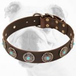 Tan Leather Dog Collar with Silver Plated Circles Blue Stones