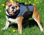 Lightweight All Weather Nylon Bulldog Vest with Handle
