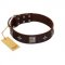 "Cold Star" Designer FDT Artisan Brown Leather Bulldog Collar with Silver-Like Adornments