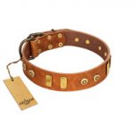 "Egyptian Script" FDT Artisan Tan Leather Bulldog Collar with Plates and Small Studs