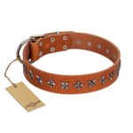 "Star Trek" FDT Artisan Tan Leather Bulldog Collar Decorated with Stars