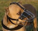 Adjustable Training BullyPit Wire Basket Muzzle