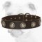 Leather Bulldog Collar with Silver Conchos