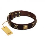 "Crazy Pirate" FDT Artisan Brown Leather Bulldog Collar with Old Bronze-Plated Skulls and Plates