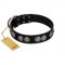 "Magic Amulete" Handcrafted FDT Artisan Black Leather Bulldog Collar with Chrome-Plated Shields