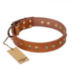 "Spring Flavor" FDT Artisan Adorned Leather Bulldog Collar with Old Bronze-Plated Engraved Studs