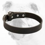 Strong Leather Bulldog Collar for Walking and Training