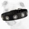 Fashionable Wide Nylon Bulldog Collar with Conchos