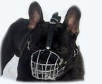 Bouledogue Francais Wire Basket Muzzle