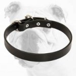 Comfortable Leather Bulldog Collar for Walking