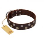 "Shadow Warrior" FDT Artisan Mystic Brown Leather Bulldog Collar with Runes