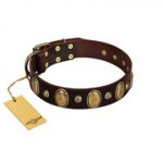 "Natural Grace" FDT Artisan Handmade Decorated Brown Leather Bulldog Collar