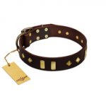 "Blinking Illusion" FDT Artisan Brown Leather Bulldog Collar with Old Bronze-like Studs and Plates