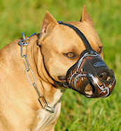 Best Leather Dog Muzzle for Bulldogs/ Bulldog/Pitbull/Amstaff