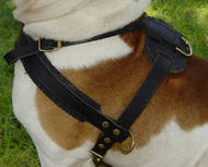 Best Padded Pulling Harness for Australian Bulldog