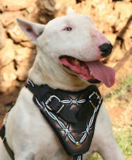 Bull Tterrier custom leather dog harness- Hand painted harness