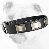 Reliable Walking Leather Bulldog Collar with Large Plates