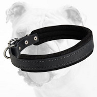 Super Strong Hand-Made Leather Soft Padded Bulldog Collar