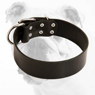 Wide Reliable Leather Bulldog Collar
