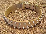 Bullterrier Leather Spiked Dog Collar - 2 Rows of spikes