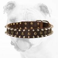 Brass Plated Studs and spikes Leather Bulldog Collar