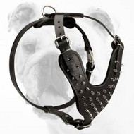 Adjustable Spiked Leather Bulldog Harness for Walking