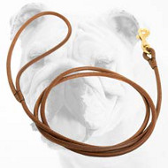 Professionally Handcrafted Leather Bulldog Leash