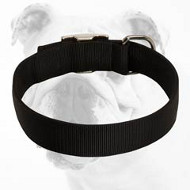 Fashionable Super Strong Walking Nylon Bulldog Collar