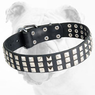 Silver Pyramid Leather Dog Collar for Bulldog Breeds